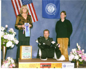 American20Spaniel20club.jpg