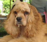 Greenwichheadshot.jpg