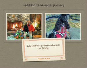 PhotosfromNov232011.jpg