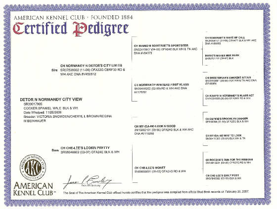 pedigree.jpg