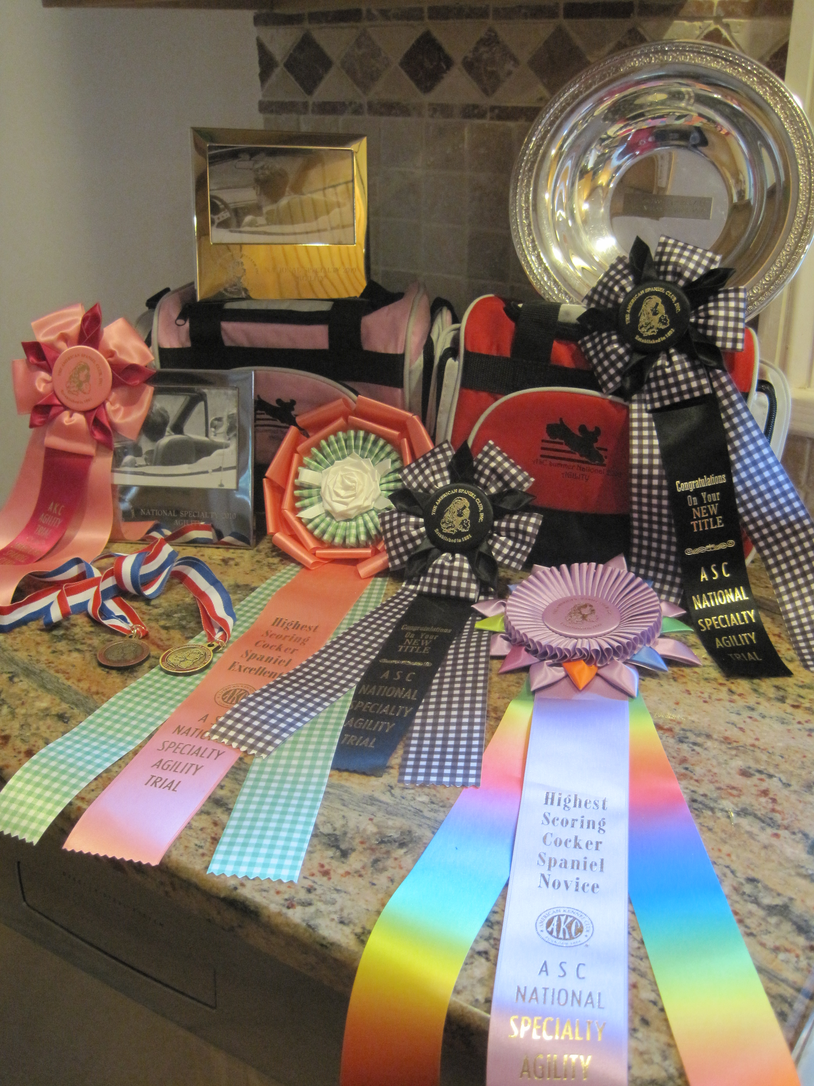 ASC2010021.JPG