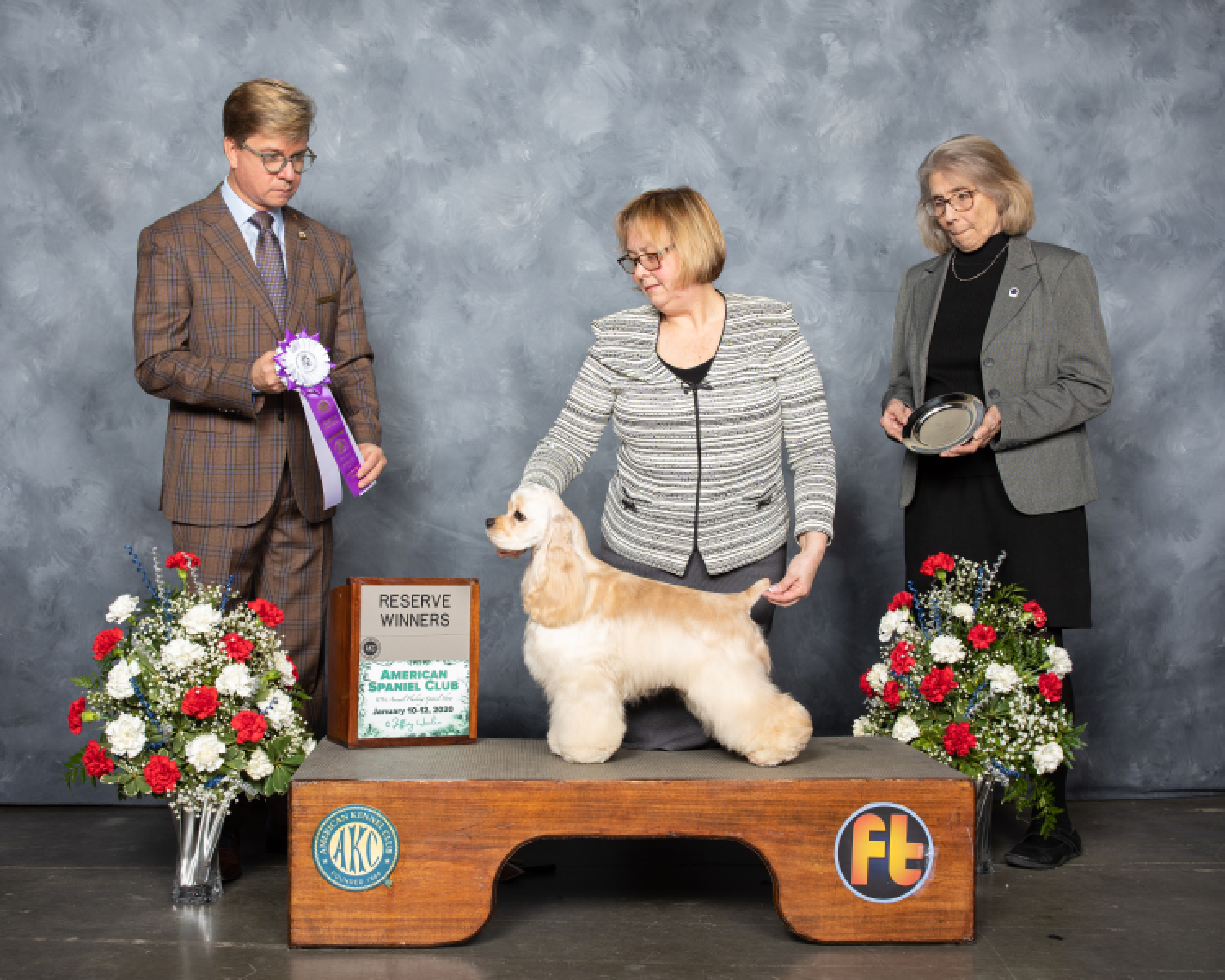 picturegallery119410.tmp/JosieAmericanSpanielClub_20.001.070.9977.jpg